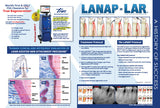 Prints - LANAP® Success Brochure Customized - Qty 100